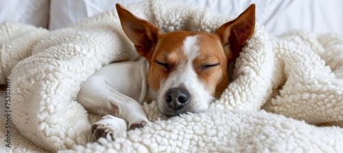 Peaceful dog sleeping on white bed with blanket, creating ideal copy space for text placement