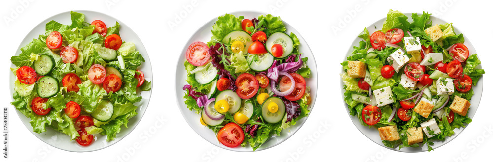 Set of plate of salad. top view. isolated on solid white background