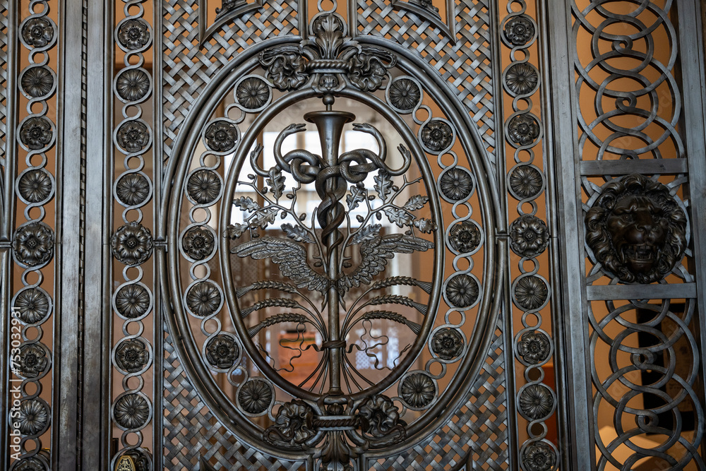 A large ornate metal gate with a flower design