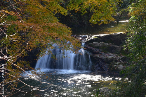 奈良県の明日香村の稲渕にて