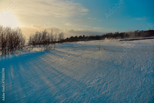 Winter landscape with sun casting shadows on the textured snow  bare trees  and clear blue sky. Location  Strokkur Geyser  Iceland.