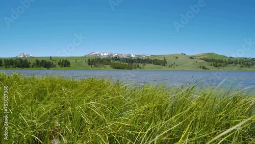 Yellowstone Lake with lush grass in the foreground, a rocky coastline and the snow capped mountains of the Absaroka Mountain Range in the background.  photo