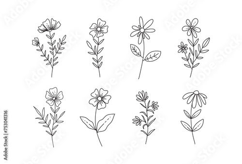 Set of hand drawn wild flower icons. Collection of hand drawn line botanical elements. Vector illustration