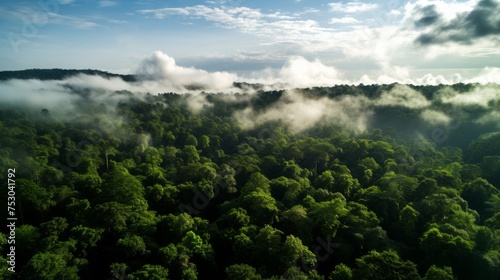 Forest canopy drones aerial ecology studies cloudy sky