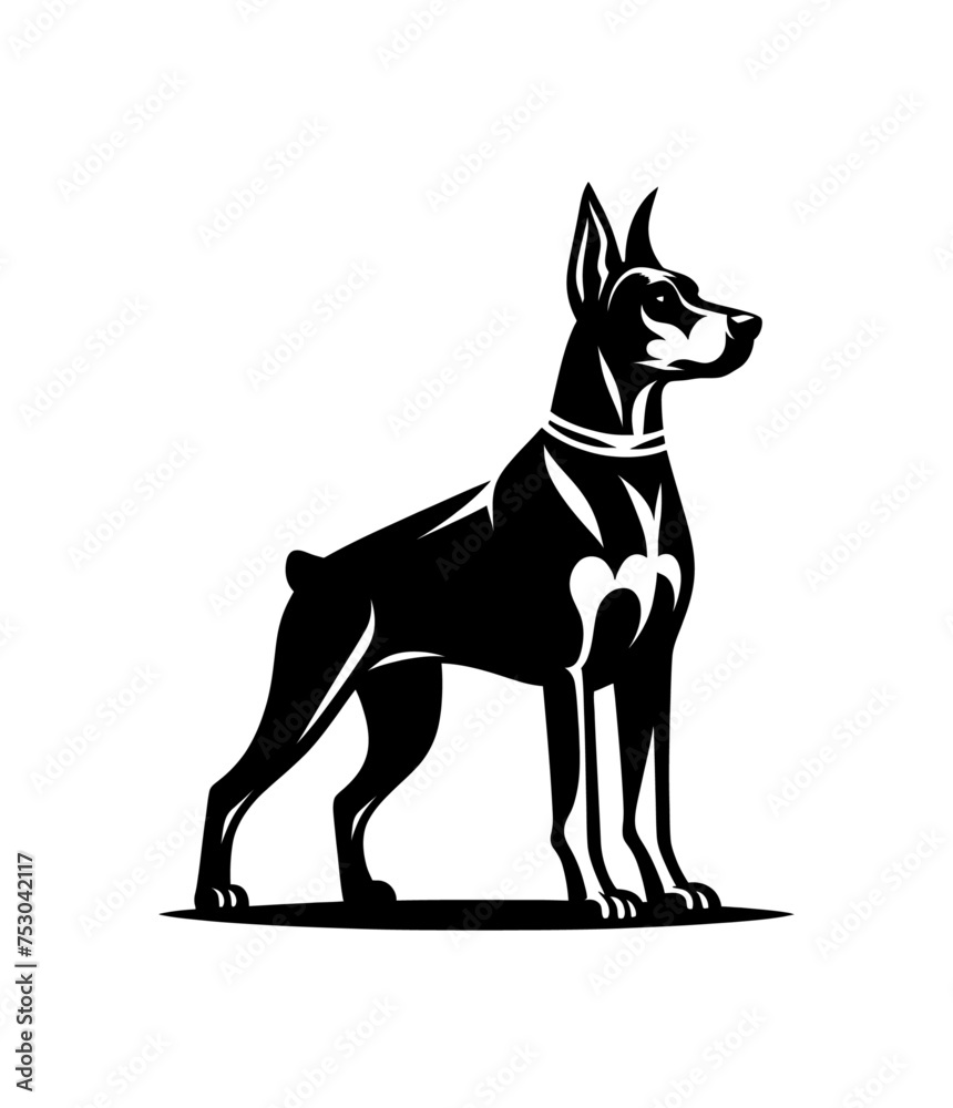 Doberman pincher breed dog. Isolated vector illustration