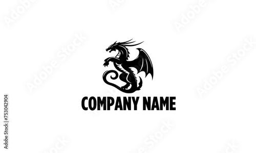 Dragon Mascot Logo Icon in Black and White Colors, Dragon Mascot Silhouette Icon