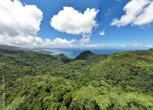 Fototapeta Naklejka Na Ścianę i Meble -  panoramic view from a drone of the sea bays and beaches on a sunny day of the Seychelles islands