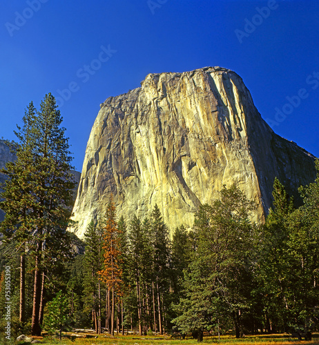 Yosemite National Park, California, USA, UNESCO World Heritage Site photo