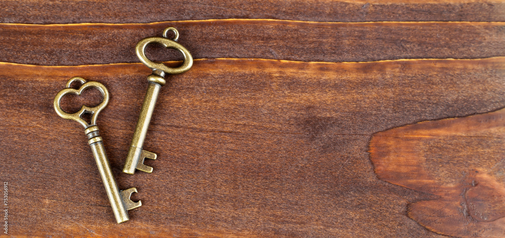 Golden success keys. Life coaching, mentor, solution banner. Golden success keys. Life coaching, mentor, solution banner.