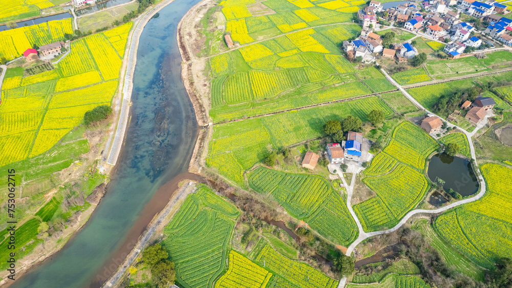 Aerial photography of rural rapeseed fields in Chuanwan Town, Liling City, Hunan Province