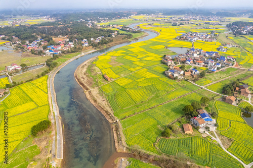 Aerial photography of rural rapeseed fields in Chuanwan Town, Liling City, Hunan Province photo