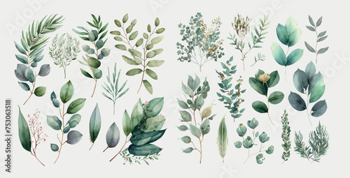 Watercolor floral illustration set - green leaf branches collection. Decorative elements photo