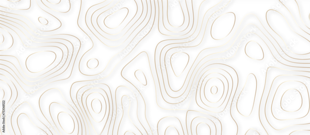 Abstract topographic contours 3d map background .topographic line texture background .monochrome image .stylized height of the topographic map contour in lines. Abstract topographic contours 3d map background .topographic line texture background .monochrome image .stylized height of the topographic map contour in lines.