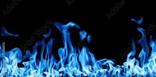 Blue firestorm. Gas Fire burning. Bright burning blue flames on a black background. Wall of Real fire, abstract background. Fire flames, isolated on dark background