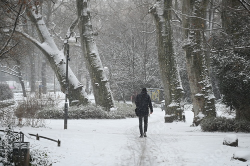 Bockenheimer Anlage in Frankfurt im Winter photo