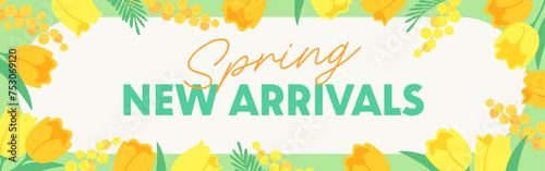 Spring flowers background material, yellow tulips and mimosa #753069120