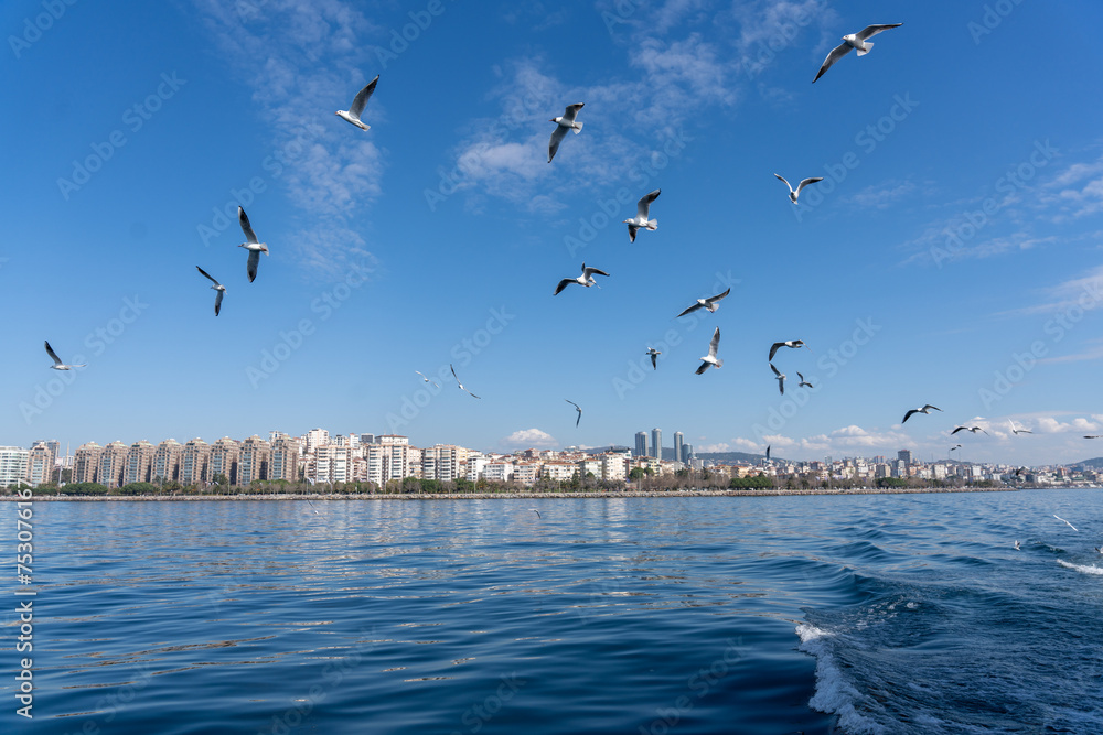 A flock of seagulls flying over a city skyline
