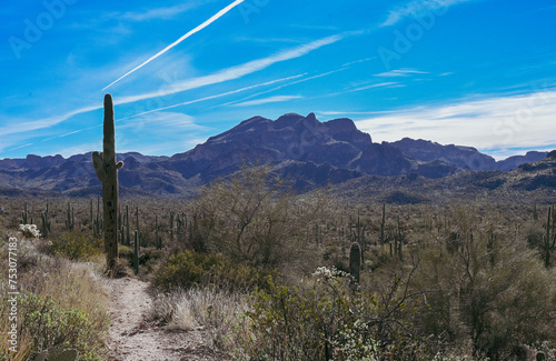 Blue skies in the Superstition Mountains