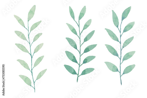 Watercolor leaves illustration set - green leaf branches collection for wedding, greetings, stationary, wallpapers, fashion, background. olive, green leaves, Eucalyptus etc