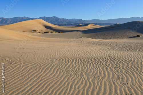 Sand Dunes - Death Valley