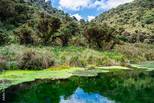 Purac   National Park  Colombia