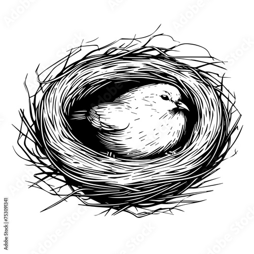 Bird Nest Nest Vector
