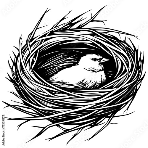 Bird Nest Nest Vector
