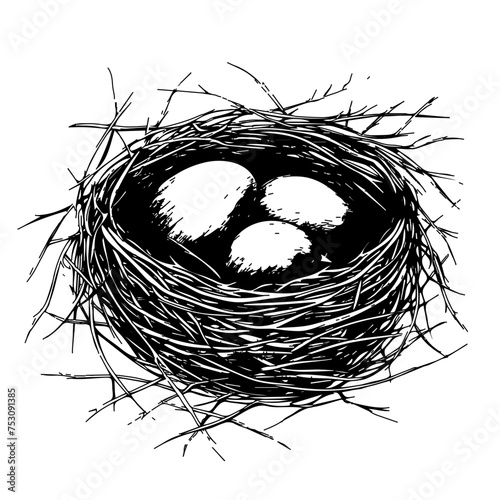 Bird Nest Nest Vector
