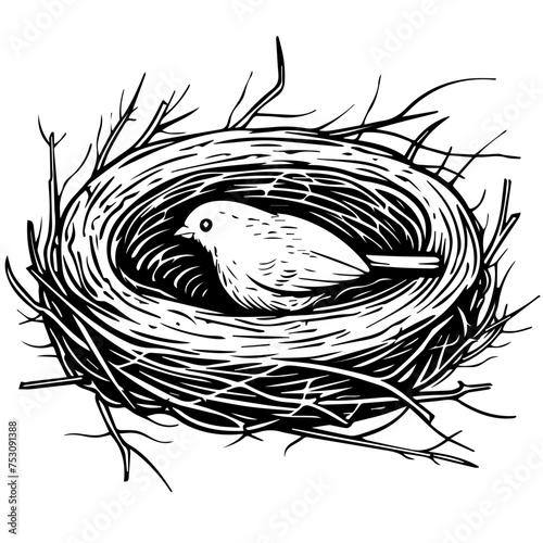 Bird Nest Nest Vector
