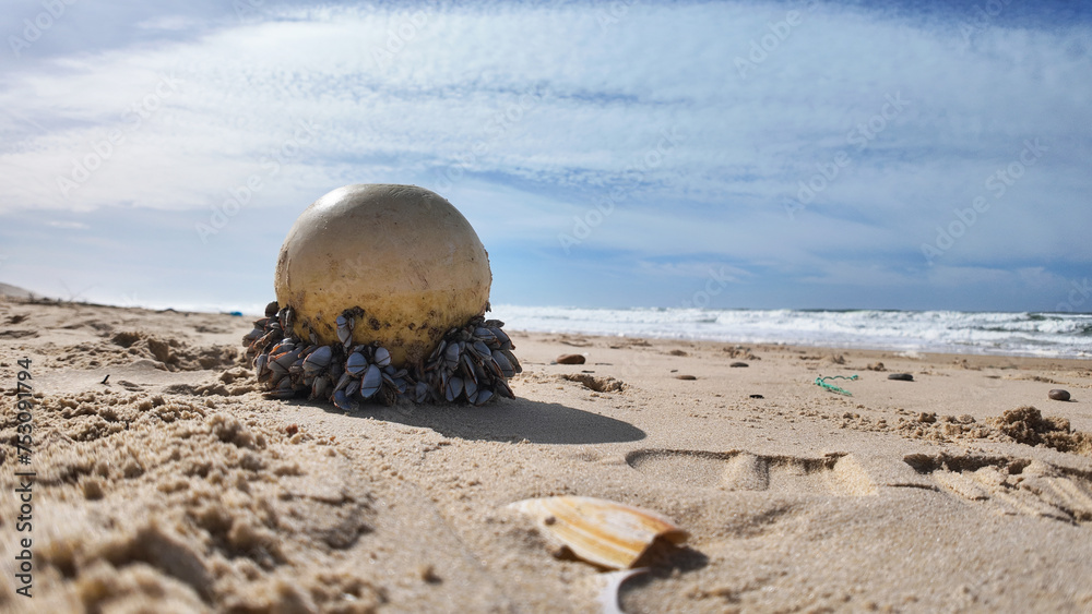 Obraz premium Les restes de l'océan sur la plage