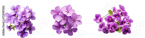 Product photography a violet flowers on white Background  product shot  close shot  professional photography  studio lighting  used for marketing purpose