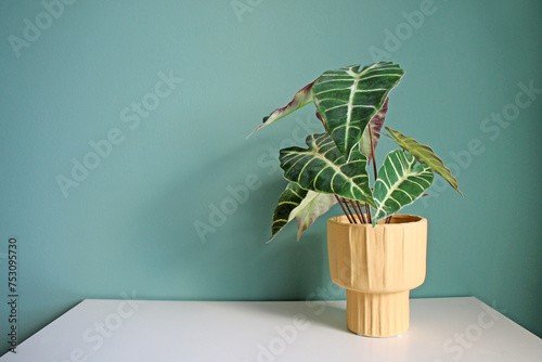 Artificial home plant on a white table. Space for your text.