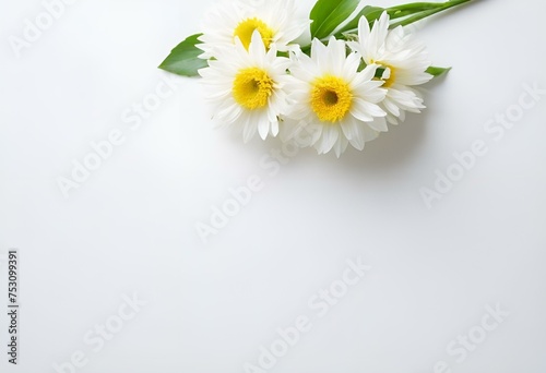 minimallist, white, background, spring flower. Generative AI. 