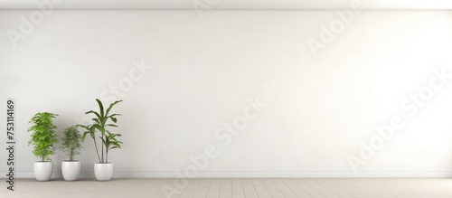 Minimalist white wall background