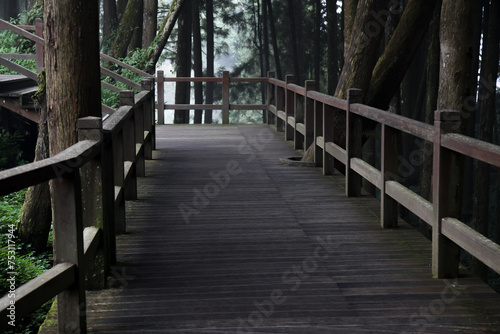 The walkway from wood in nature park taiwan © pumppump