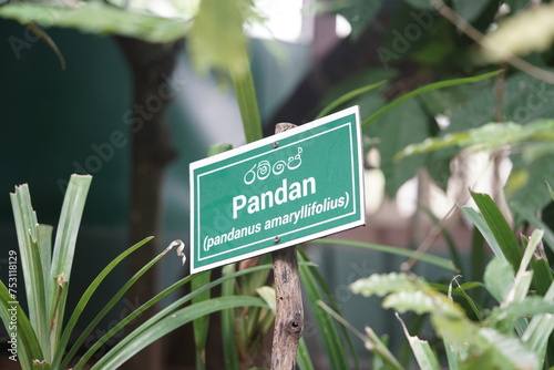Pandan tree sign in a garden. english and sri lanka language.