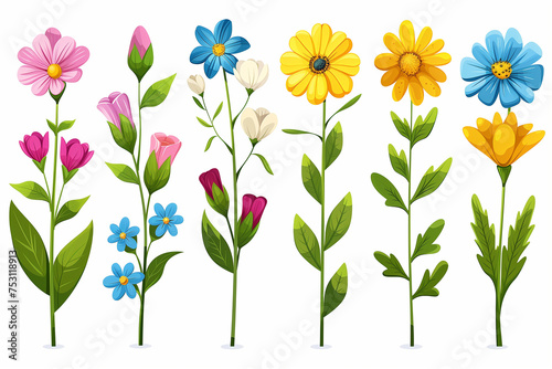 Different set of flowers on a white plain background