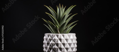 White ceramic pineapple pot with diamond patterns and green succulent planter on dark background photo