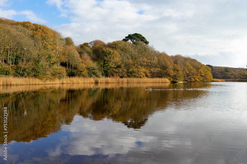 À l'automne, l'étang du Conquet en Bretagne se transforme en un tableau vivant, où les arbres aux couleurs flamboyantes se mirent avec grâce dans ses eaux tranquilles