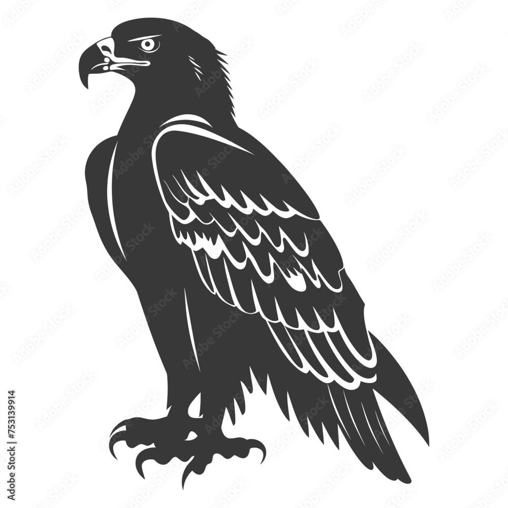 Silhouette eagle animal black color only full body Silhouette eagle animal black color only full body