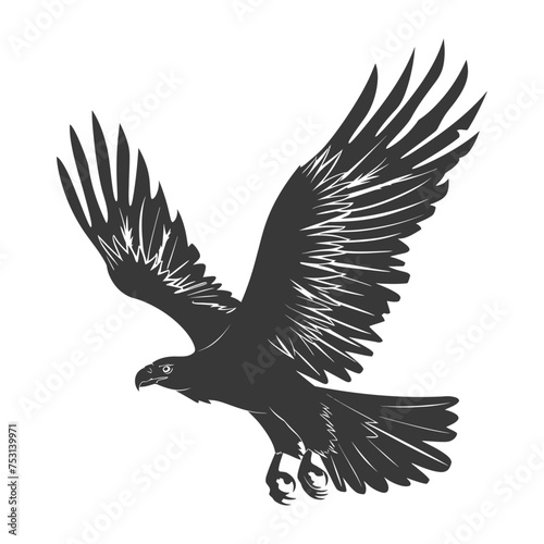 Silhouette eagle animal fly black color only full body