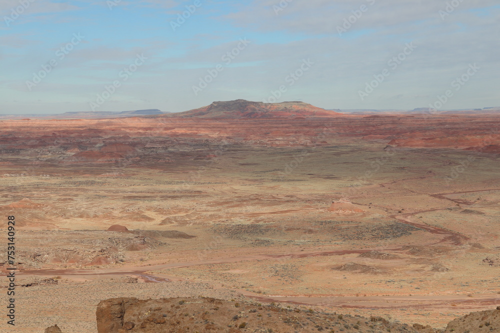 Fototapeta premium Petrified Forest National Park, Arizona