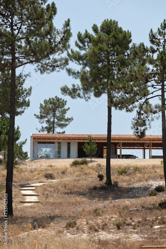 Beautiful modern new building in the middle of the pine forest (ID: 753142503)