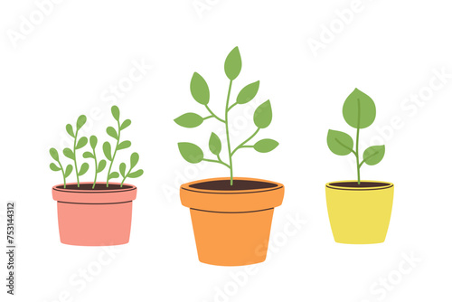 Set of hand drawn plants in flowerpots. Template for cards, posters, postcards, prints and stickers. Isolated vector illustration