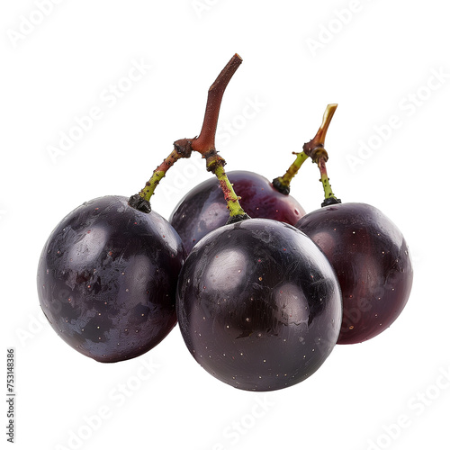 Muscadine grapes fresh fruits white background photo