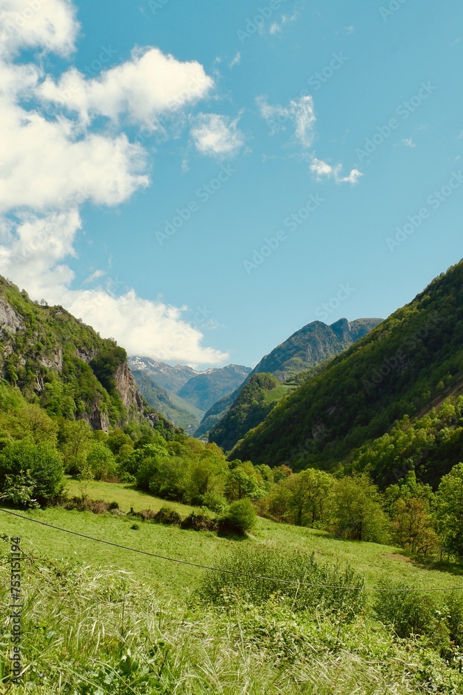 Summertime valley. Highland France, Pyrenees mountain range. Vintage travelling background