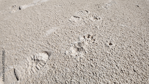 Traces de pas homme chien dans le sable photo