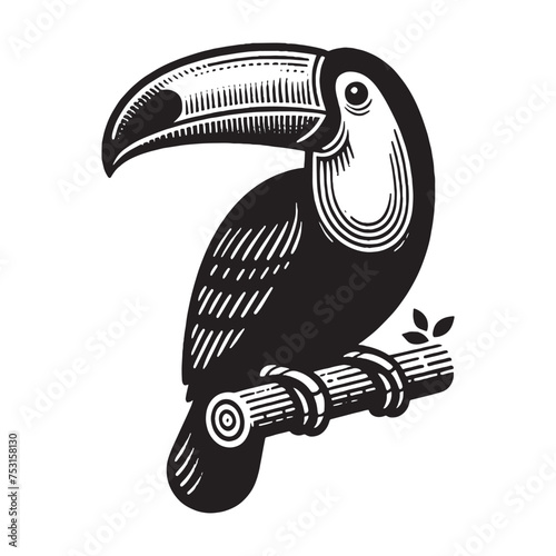 Toucan bird. Old vintage engraving illustration. Hand drawn outline graphic. Logo, emblem, icon. Isolated object, cut out. black and white	
