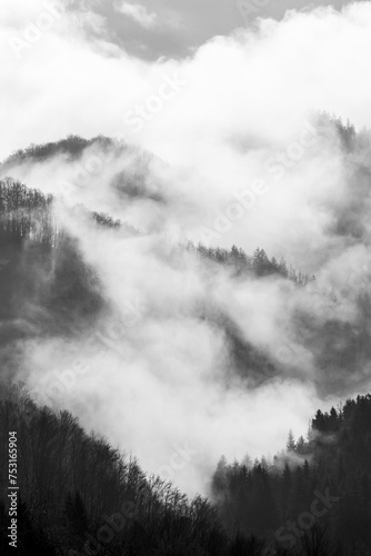 Black and white image of the fog rising up from the morning sunrise forest. Scenic views of the mist in the springs morning. Amazing textures of the clouds in the woods.