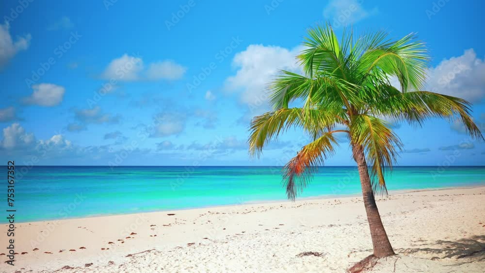 Maldives paradise beach with white sand and coconut trees for travel and tourism. Summer vacation and travel concept. Sea with azure water against the backdrop of a sandy island and blue sky. Maldives paradise beach with white sand and coconut trees for travel and tourism. Summer vacation and travel concept. Sea with azure water against the backdrop of a sandy island and blue sky.